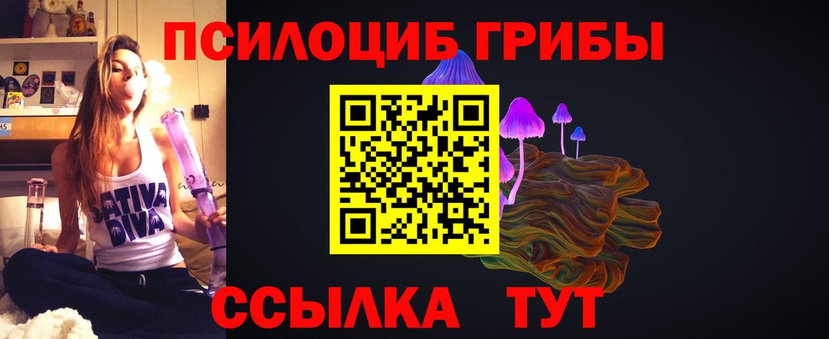 Псилоцибиновые грибы Cubensis Зеленокумск